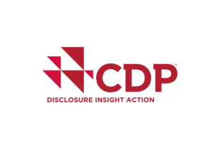 CDP - Disclosure Insight Action