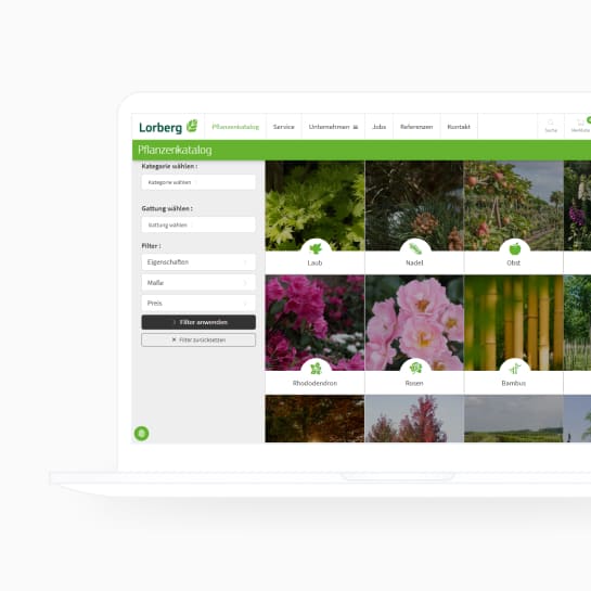 Image for Lorberg