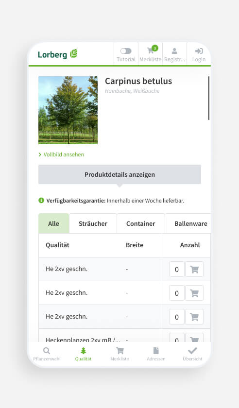 Lorberg Web App - Mobile UX